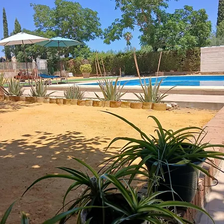 Relaxing Carmona (Seville)
